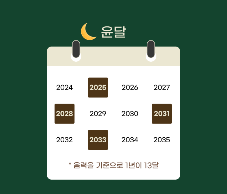 윤달이 드는 해(2025·2028·2031·2033년)를 표시한 달력, 음력 기준으로 1년이 13달