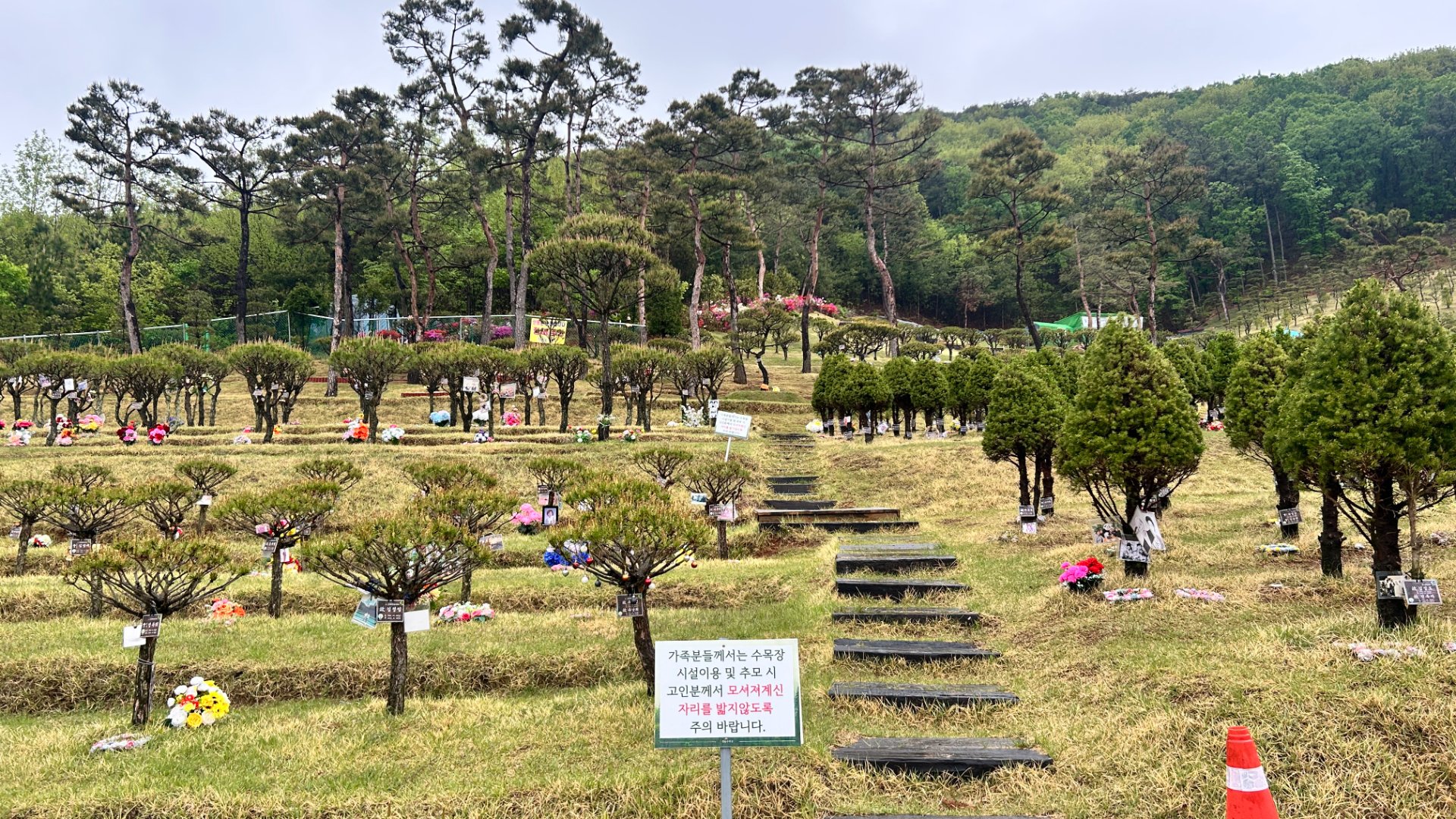 김포 수목장 추모목 상세 모습
