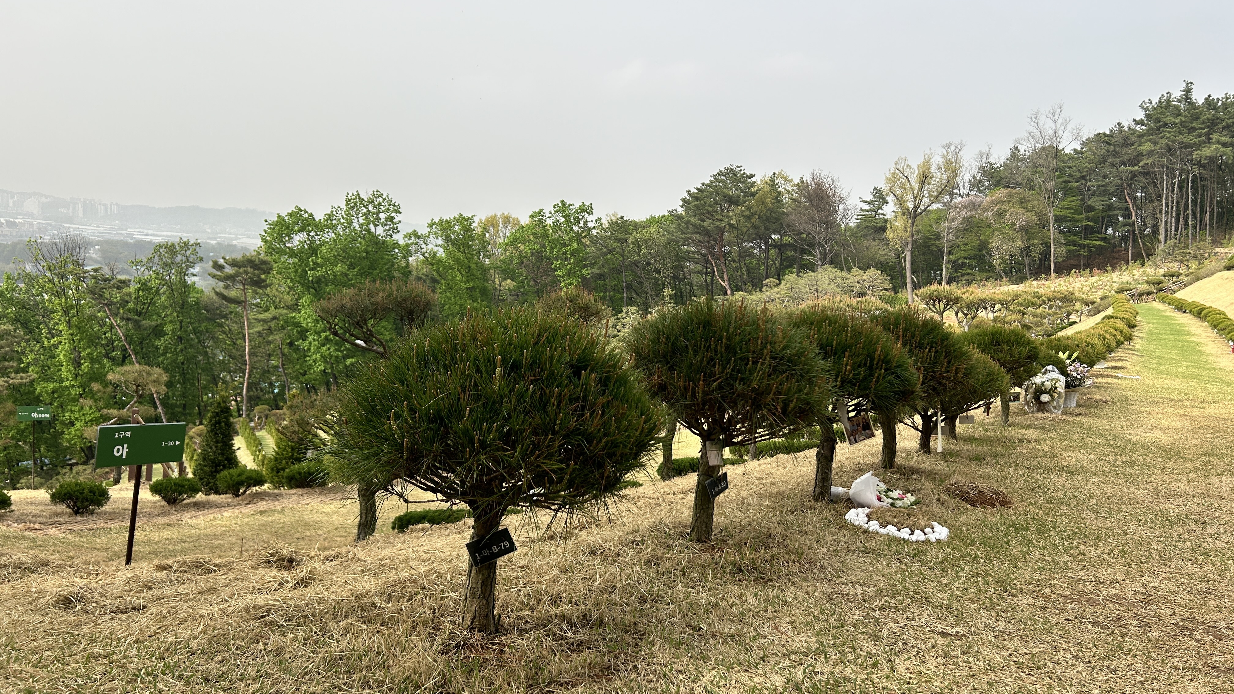 일산 공감 수목장 외부 전경 및 주변 환경