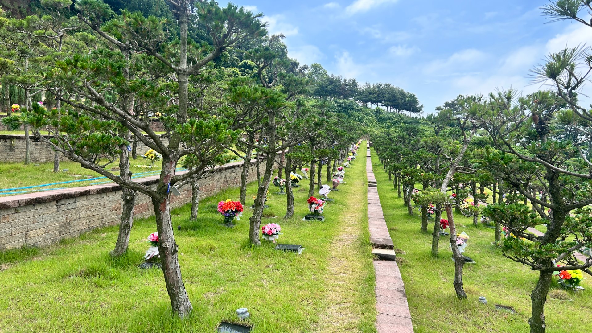 평택 수목장 추모목 상세 모습