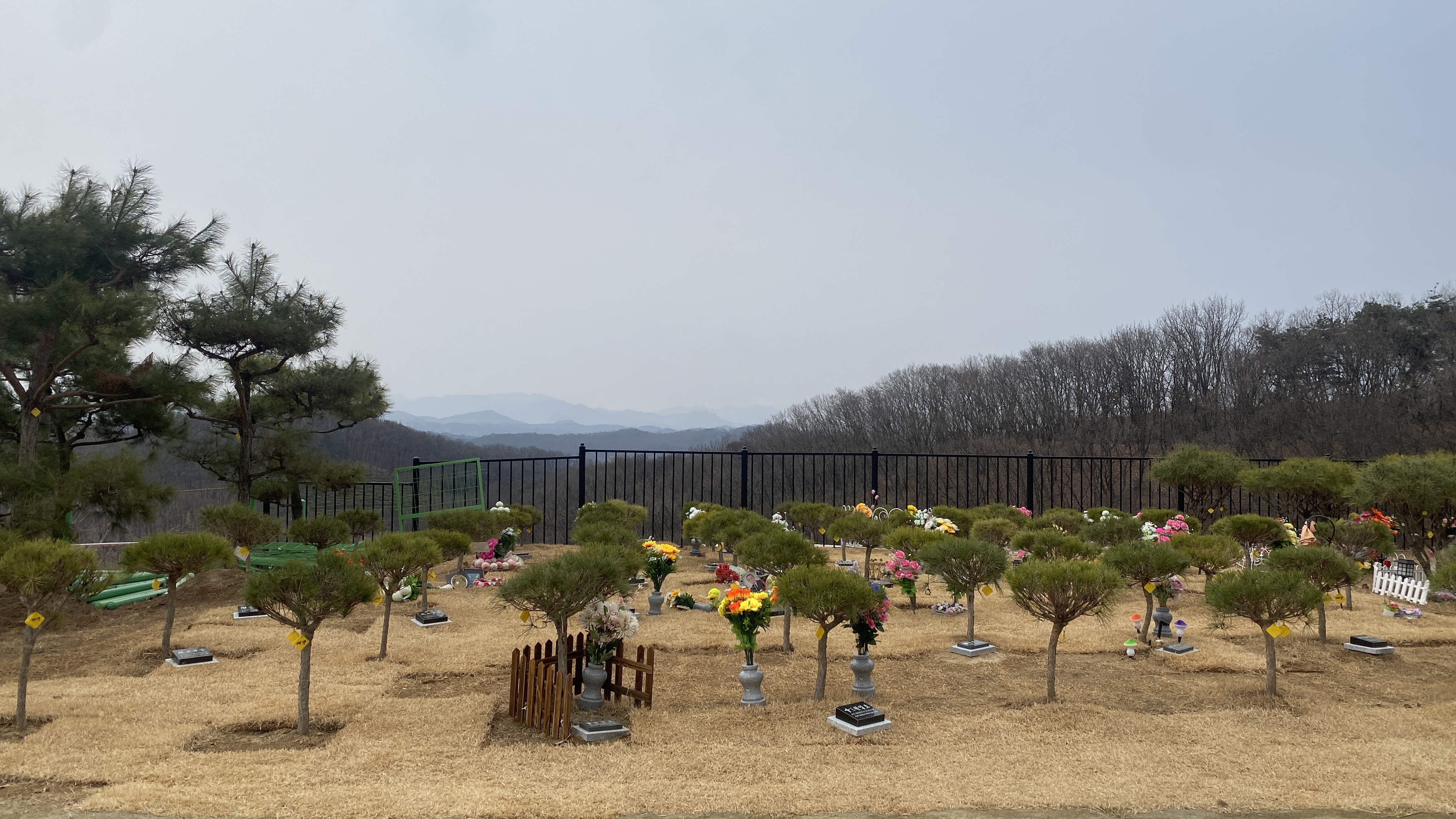 연천 기독교 수목장 추모목 상세 모습